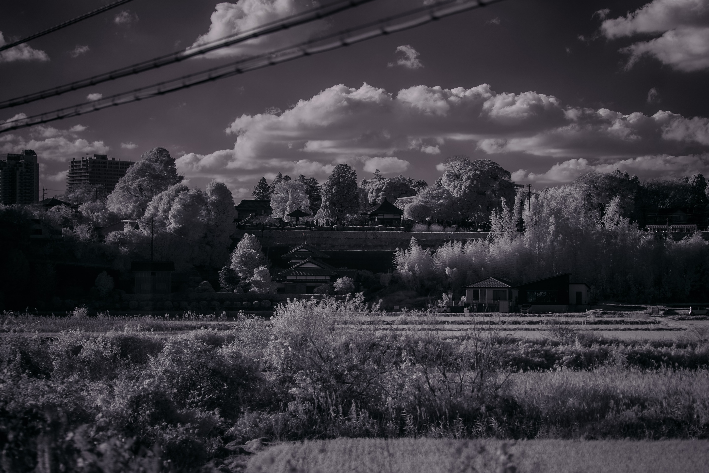 A serene monochrome landscape featuring traditional Japanese architecture nestled among lush greenery. Overhead power lines add a modern touch to the otherwise timeless scene.