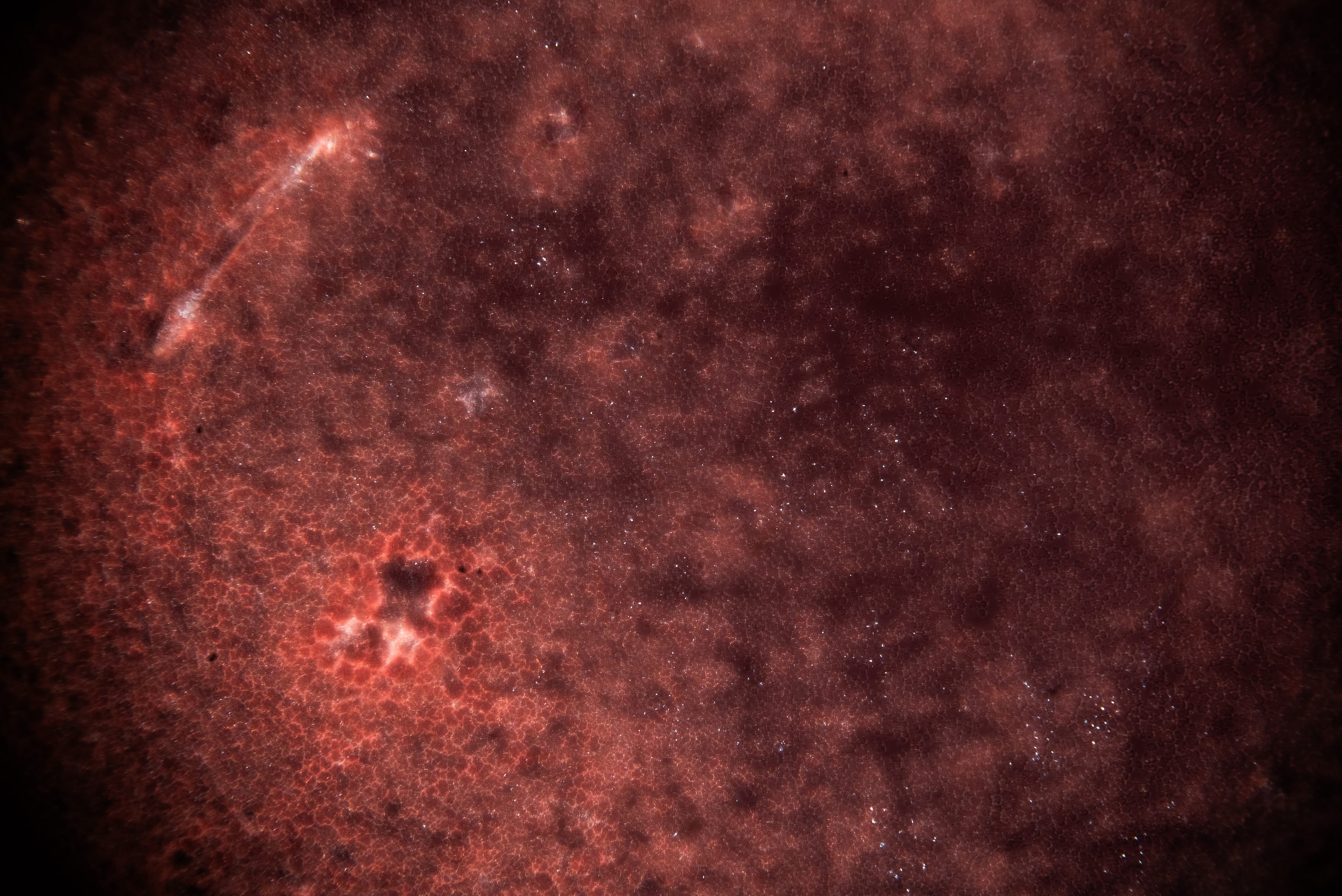 A visible-light photograph through a Nikon PlanApo 20x objective. A bright streak crosses a red field of cells.