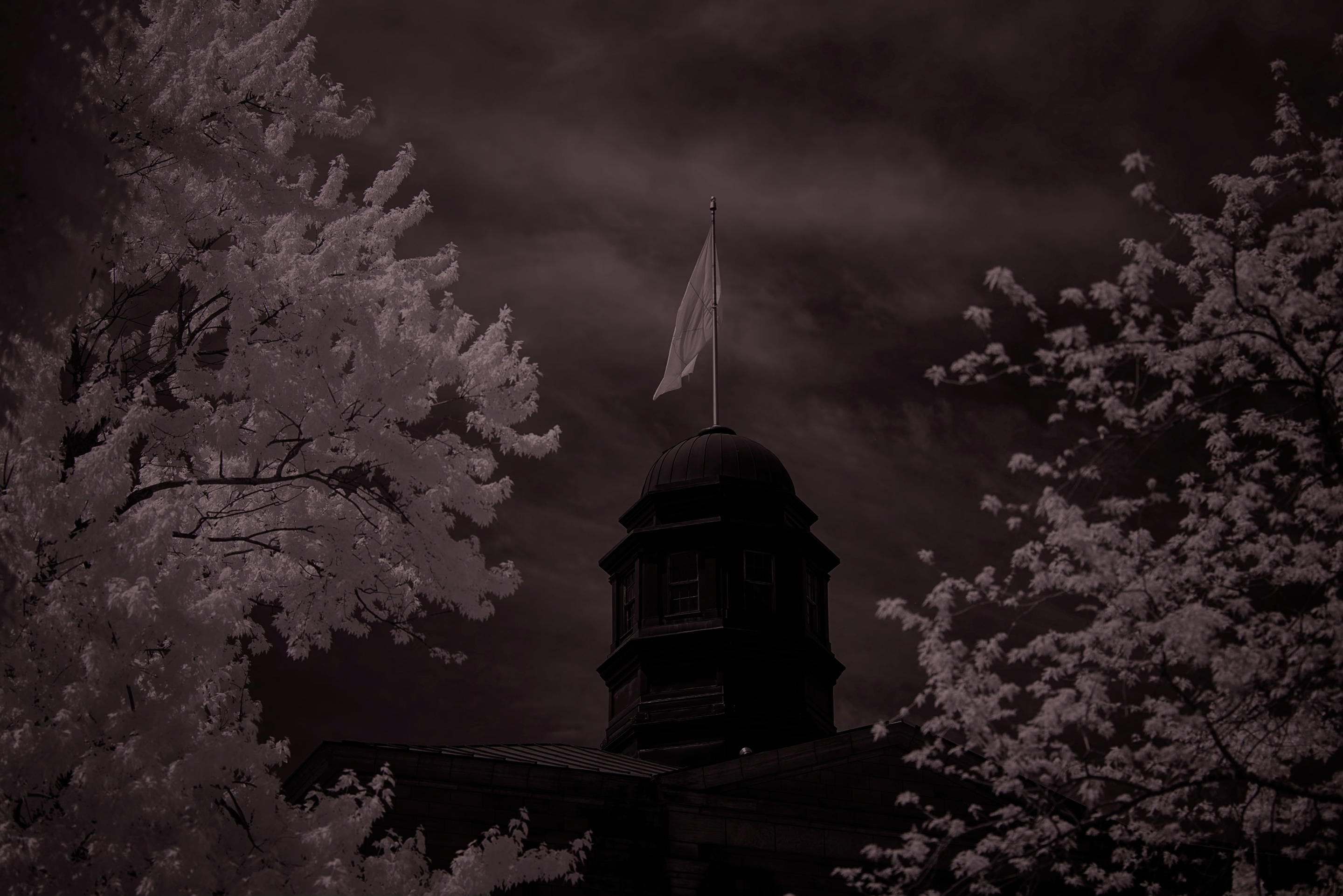 An architectural image of a building with a tower and a flag on top. The image is framed by trees with white leaves and set against a dark, cloudy sky.
