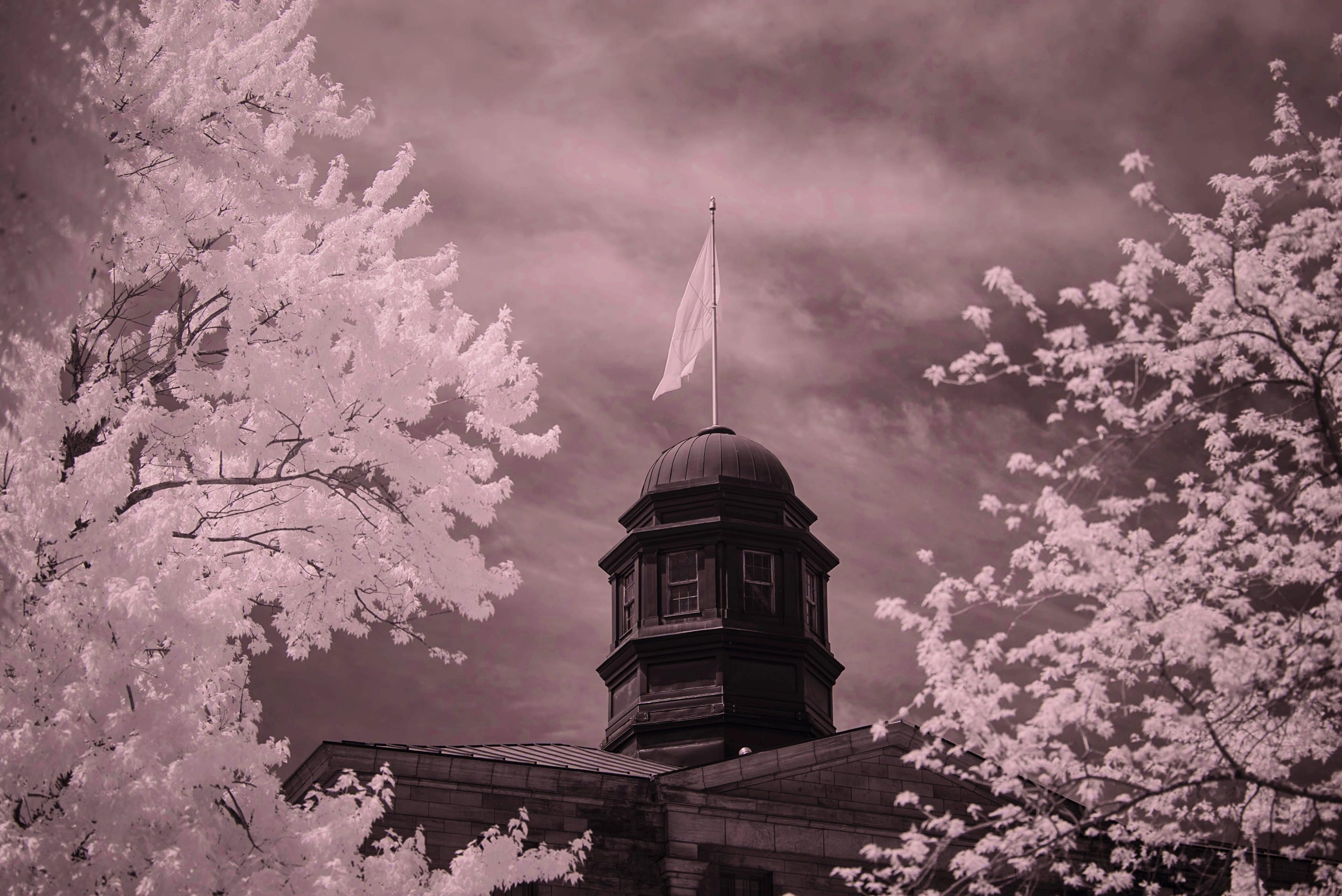 An architectural image of a building with a tower and a flag on top. The image is framed by trees with white leaves and set against a dark, cloudy sky.