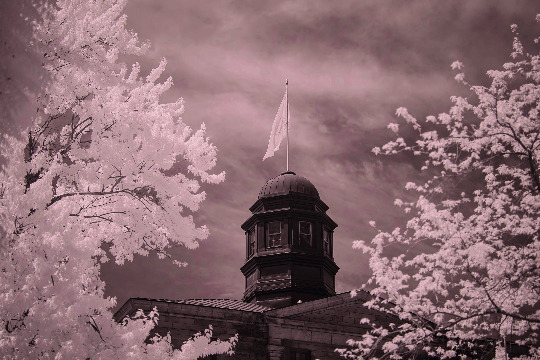 An architectural image of a building with a tower and a flag on top. The image is framed by trees with white leaves and set against a dark, cloudy sky.